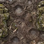 Des plans pour pour “No Man’s Land”