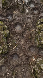 Des plans pour pour “No Man’s Land”